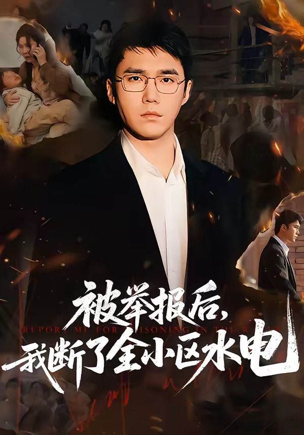《被举报后，我断了全小区水电(2026)》高清海报 免费在线观看
