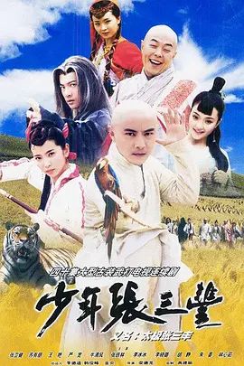 《少年张三丰(2001)》高清海报 免费在线观看