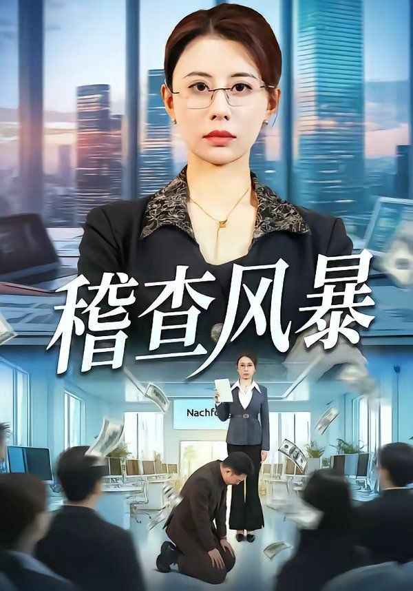 《稽查风暴(2026)》高清海报 免费在线观看