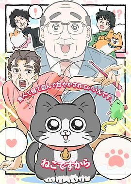 《转生成猫的大叔(2024)》高清海报 免费在线观看