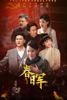 《春晖(2025)》高清海报 免费在线观看