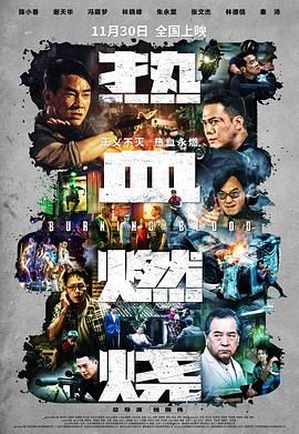 《热血燃烧(2024)》高清海报 免费在线观看