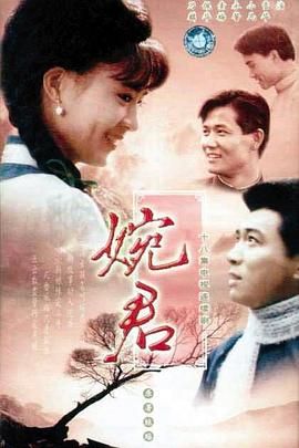 《婉君(1990)》高清海报 免费在线观看