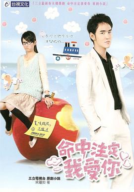 《命中注定我爱你(2008)》高清海报 免费在线观看