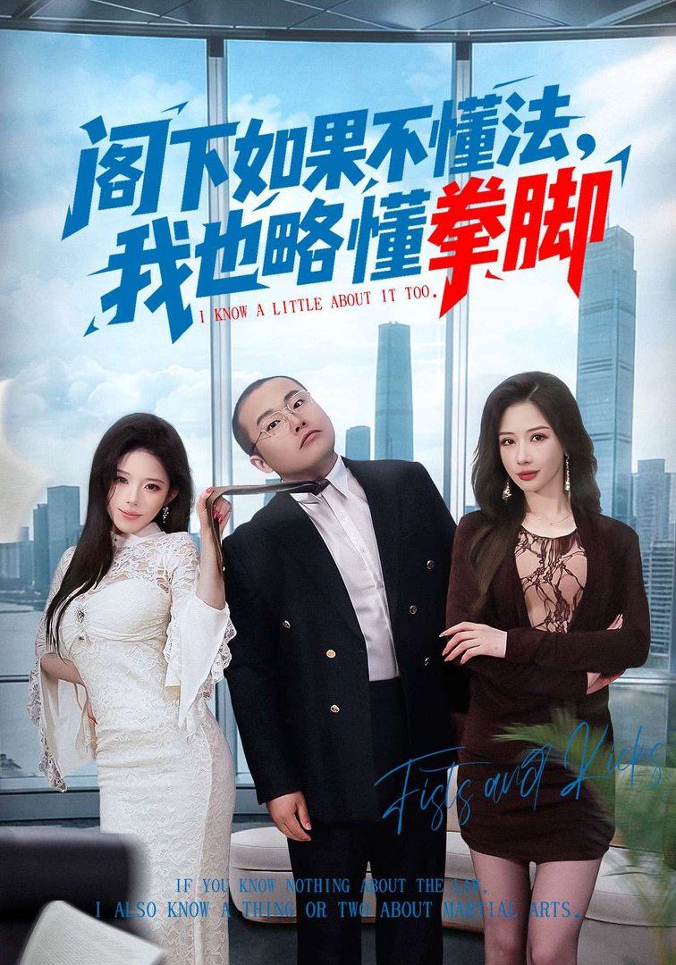 《阁下如果不懂法，我也略懂拳脚(2026)》高清海报 免费在线观看