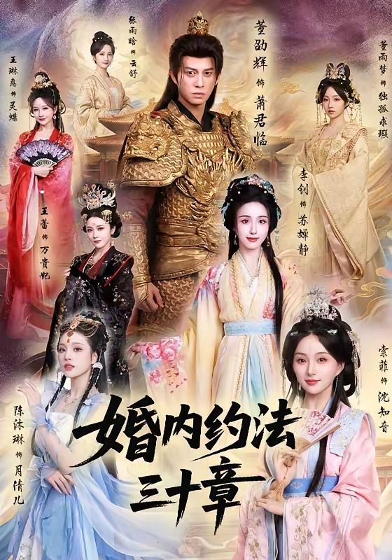 《婚内约法三十章(2026)》高清海报 免费在线观看