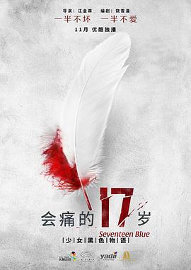 《会痛的17岁(2015)》高清海报 免费在线观看