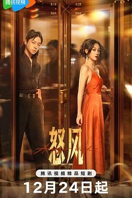 《怒风(2025)》高清海报 免费在线观看
