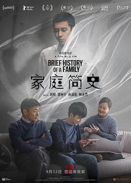 《家庭简史(2024)》高清海报 免费在线观看