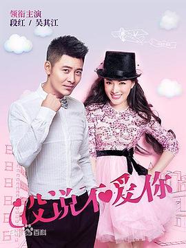 《没说不爱你(2015)》高清海报 免费在线观看
