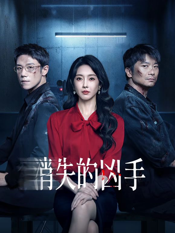 《消失的凶手(2025)》高清海报 免费在线观看