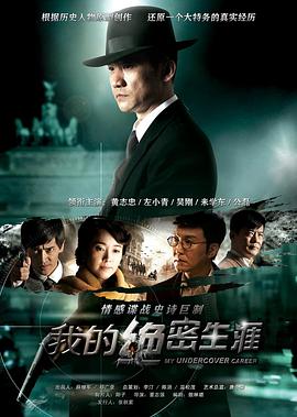 《我的绝密生涯(2014)》高清海报 免费在线观看