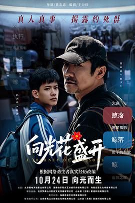 《向光花盛开(2025)》高清海报 免费在线观看