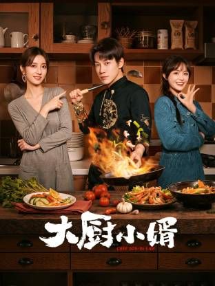 《大厨小婿(2025)》高清海报 免费在线观看