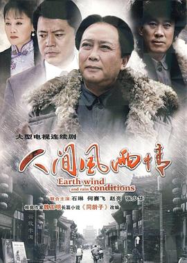 《人间风雨情(2010)》高清海报 免费在线观看