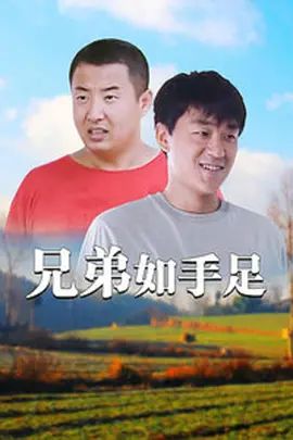 《兄弟如手足(2008)》高清海报 免费在线观看