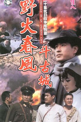 《野火春风斗古城(1995)》高清海报 免费在线观看