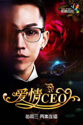 《爱情CEO(2015)》高清海报 免费在线观看