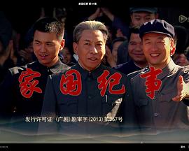 《家国纪事(2015)》高清海报 免费在线观看