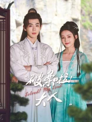 《破案啦！大人(2025)》高清海报 免费在线观看