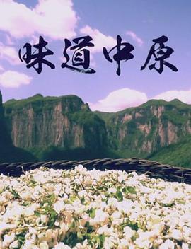 《味道中原(2017)》高清海报 免费在线观看