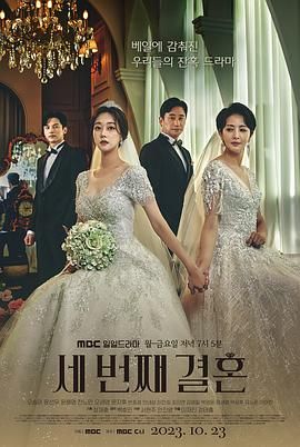 《第三次婚姻(2023)》高清海报 免费在线观看