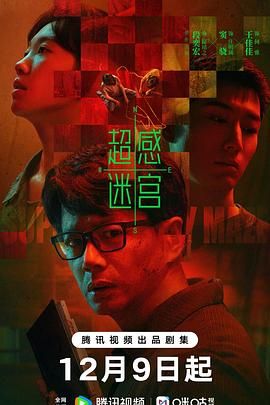 《超感迷宫(2025)》高清海报 免费在线观看