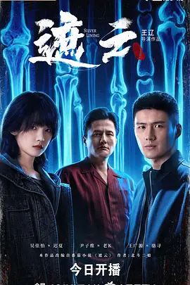《遮云(2025)》高清海报 免费在线观看