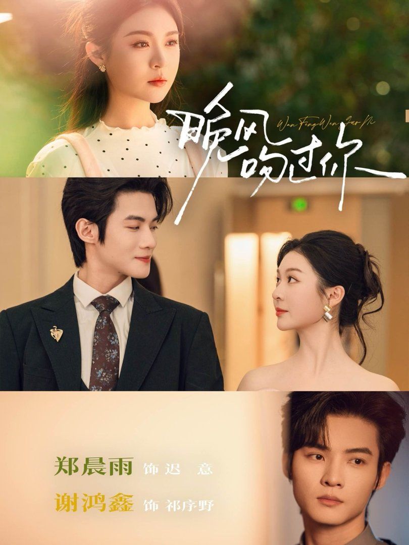 《晚风吻过你(2026)》高清海报 免费在线观看