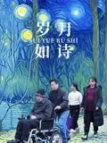 《岁月如诗(2025)》高清海报 免费在线观看