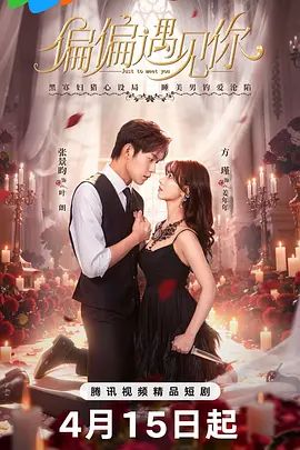 《偏偏遇见你(2026)》高清海报 免费在线观看