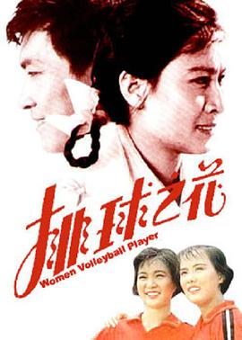 《排球之花(1980)》高清海报 免费在线观看