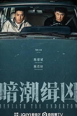 《暗潮缉凶(2025)》高清海报 免费在线观看