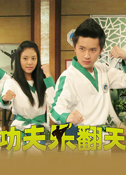 《功夫乐翻天(2015)》高清海报 免费在线观看