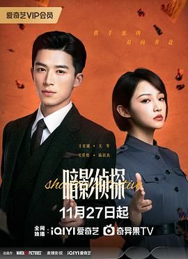 《暗影侦探(2025)》高清海报 免费在线观看