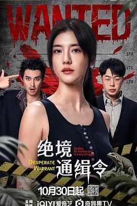 《绝境通缉令(2025)》高清海报 免费在线观看
