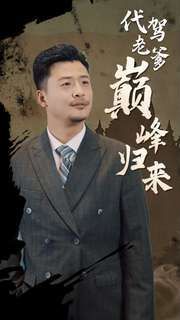 《代驾老爹巅峰归来(2024)》高清海报 免费在线观看