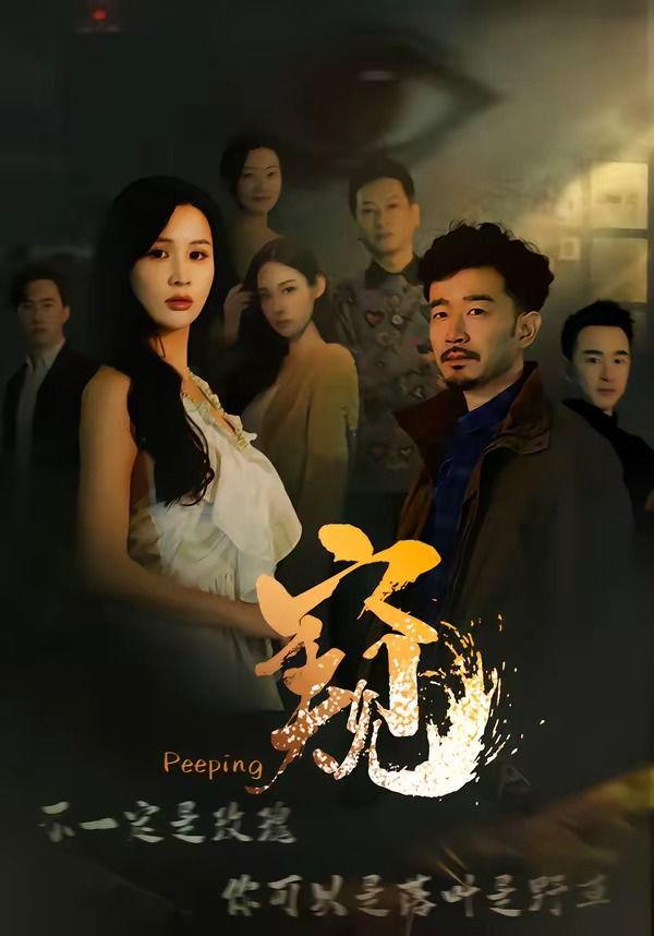 《窥（窥伺）(2026)》高清海报 免费在线观看