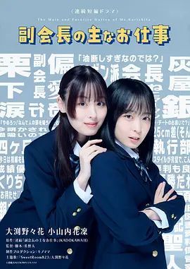 《副会长的主要工作(2026)》高清海报 免费在线观看