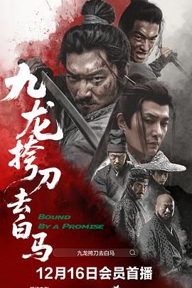 《九龙挎刀去白马(2028)》高清海报 免费在线观看