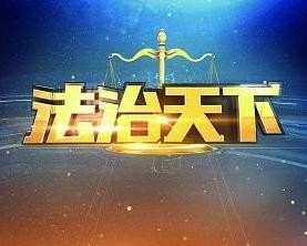 《法治天下(2015)》高清海报 免费在线观看