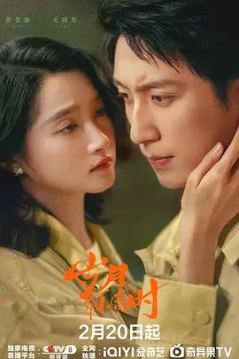 《岁月有情时(2026)》高清海报 免费在线观看