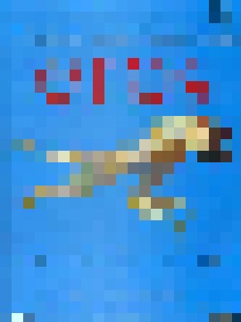 《爱神(2004)》高清海报 免费在线观看