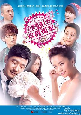 《当婆婆遇上妈之欢喜冤家(2014)》高清海报 免费在线观看