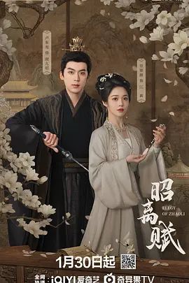 《昭离赋(2025)》高清海报 免费在线观看