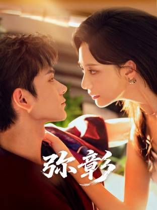 《弥彰(2025)》高清海报 免费在线观看
