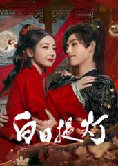 《白日提灯(2026)》高清海报 免费在线观看