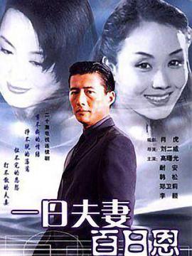 《一日夫妻百日恩(1998)》高清海报 免费在线观看