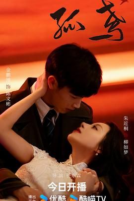 《孤鸢(2025)》高清海报 免费在线观看