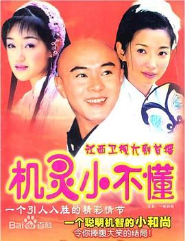 《机灵小不懂(2001)》高清海报 免费在线观看